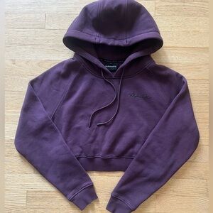Alphalete Cropped Hoodie in Deep Plum